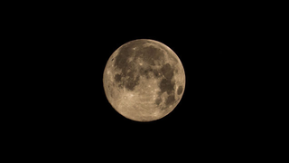 Illustration for article titled 19 Stunning Photos of The Year's Biggest, Most Beautiful Moon So Far